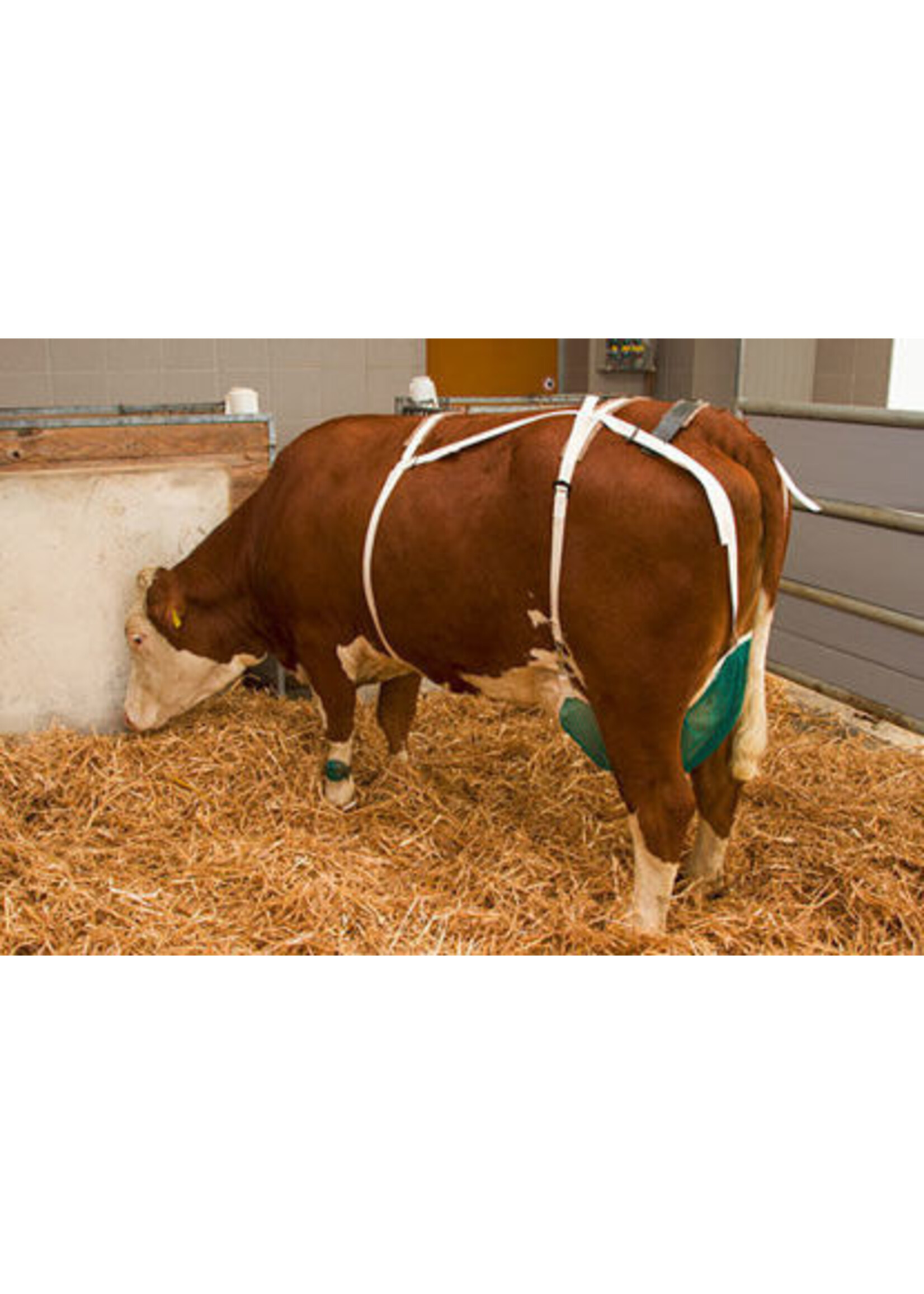 Kerbl Uiernet compleet