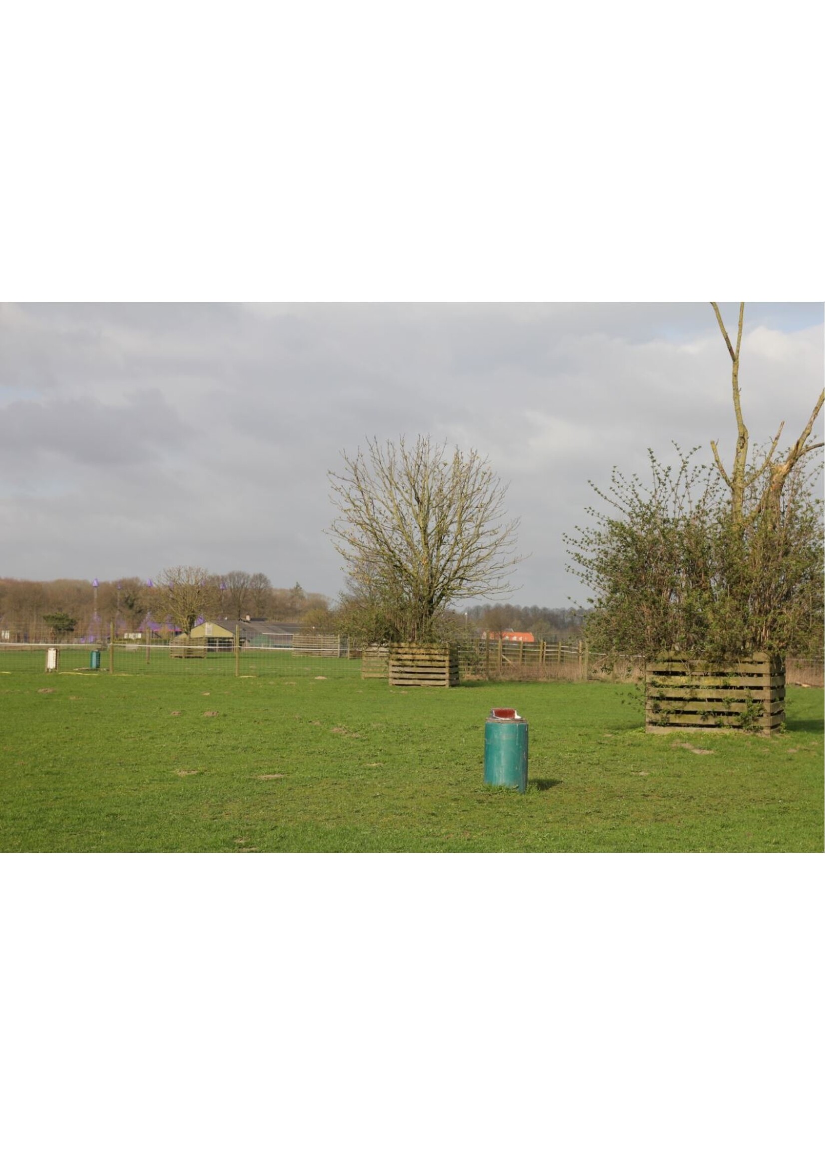 Suevia Verwarmbare drinkbak Model 43a (80W verwarmingselement)