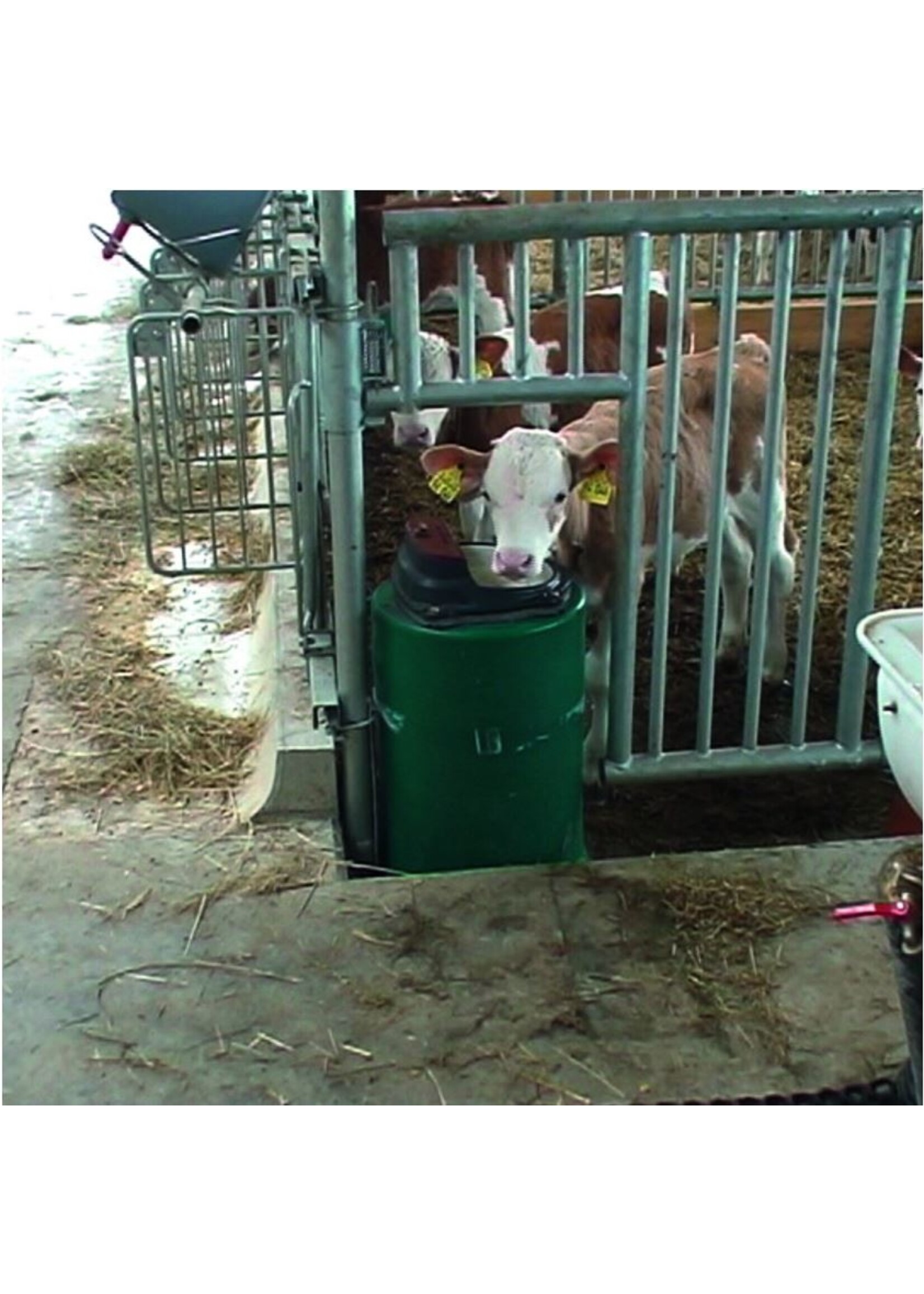 Suevia Verwarmbare drinkbak Model 43a (80W verwarmingselement)