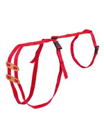 Lijfbieder-bandage (prolapsbandage) voor schapen