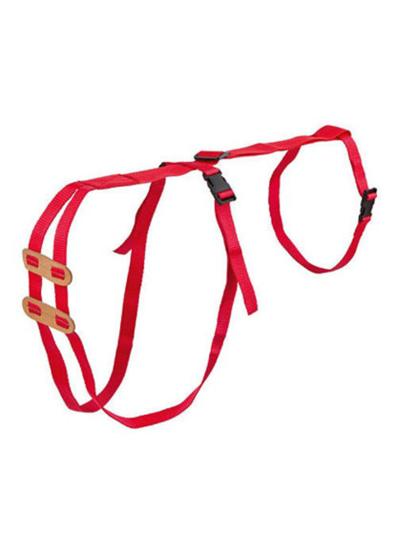 Lijfbieder-bandage (prolapsbandage) voor schapen