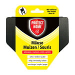 Voerdoos muizen plastic + sleutel -Protect Home-