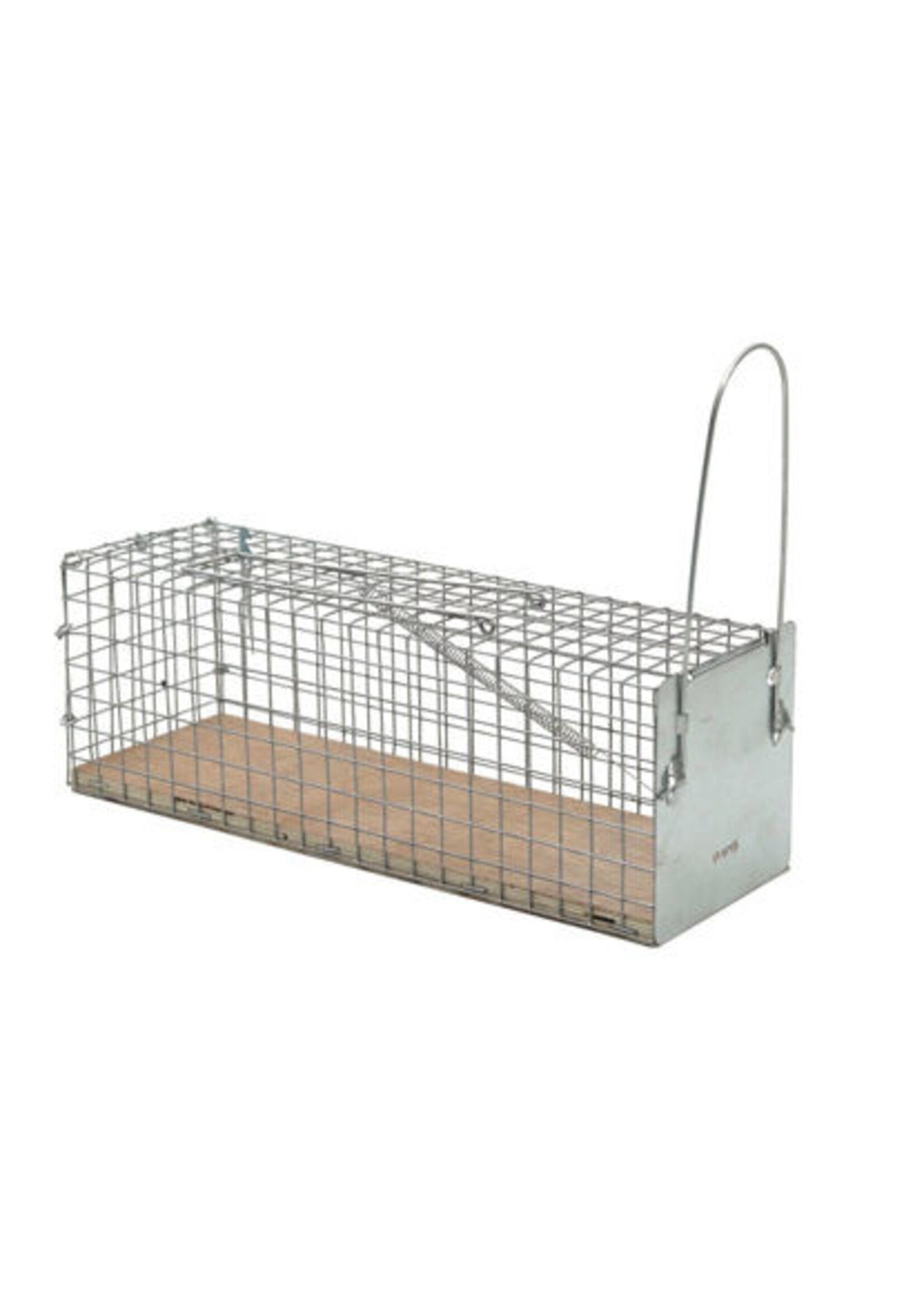 Protect Home Vangkooi Ratten (1 stuks) -Protect Home-