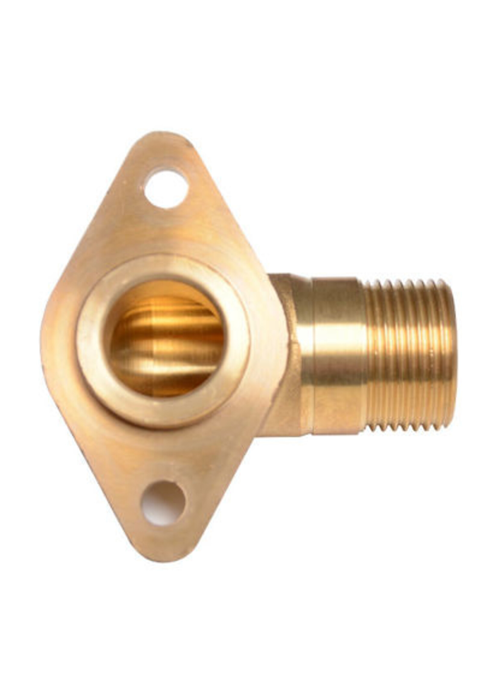 Slangaansluitstuk messing 1" voor weidepomp P100