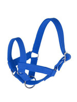 Lama halster blauw Gr. 60