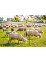 AKO Afrastering AKO Paaltje Rood 105cm v. schapennet enkele pen