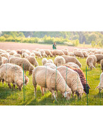 AKO Afrastering AKO Paaltje Groen 90cm v. schapennet dubbele pen