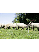 AKO Afrastering AKO Schapennet TitanLicht oranje/zw 108cmx50m enkele  pen AKO Afrastering AKO Schapennet TitanLicht oranje/zw 108cmx50m enkele  pen