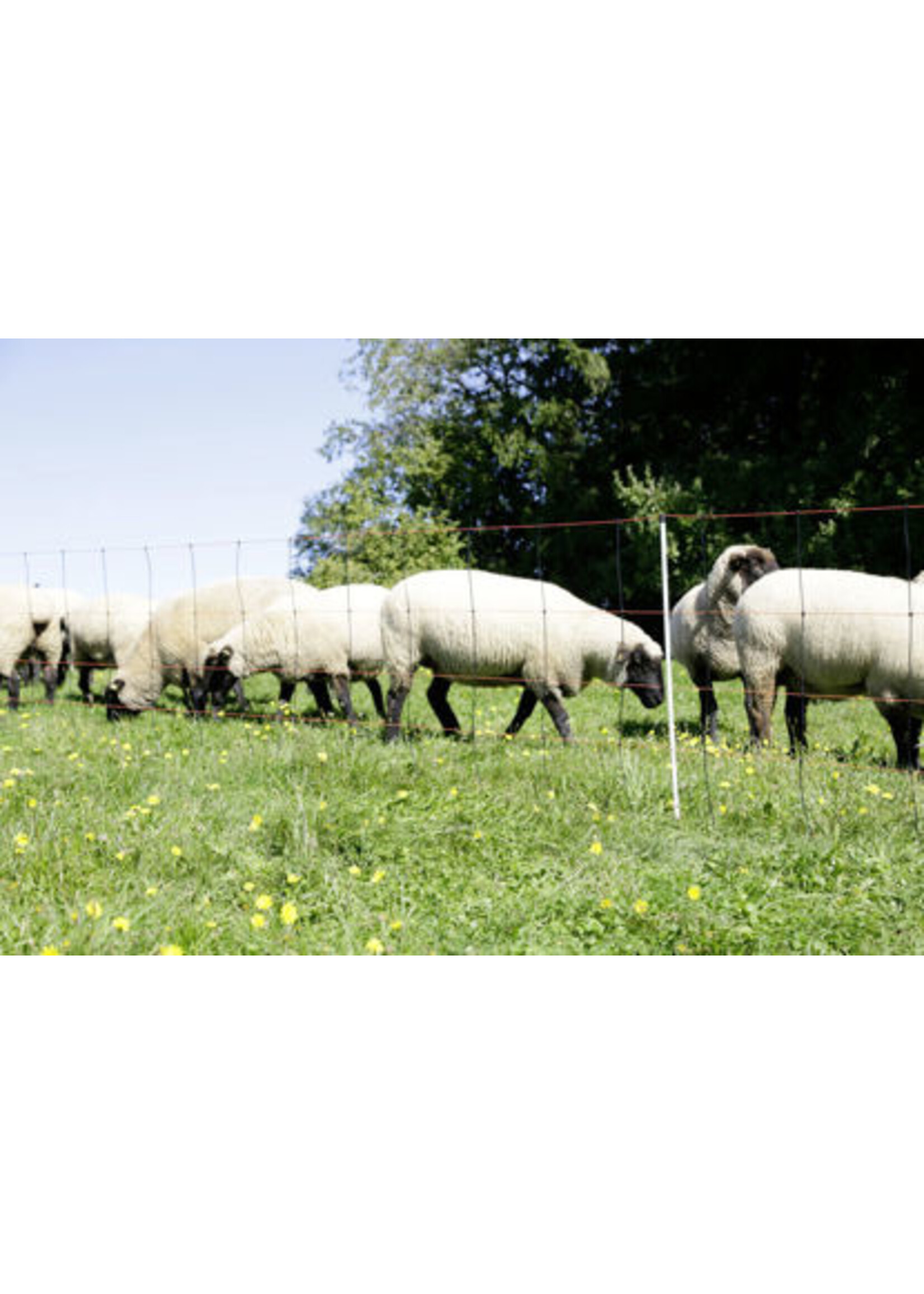 AKO Afrastering AKO Schapennet TitanLicht oranje/zw 108cmx50m dubbele  pen