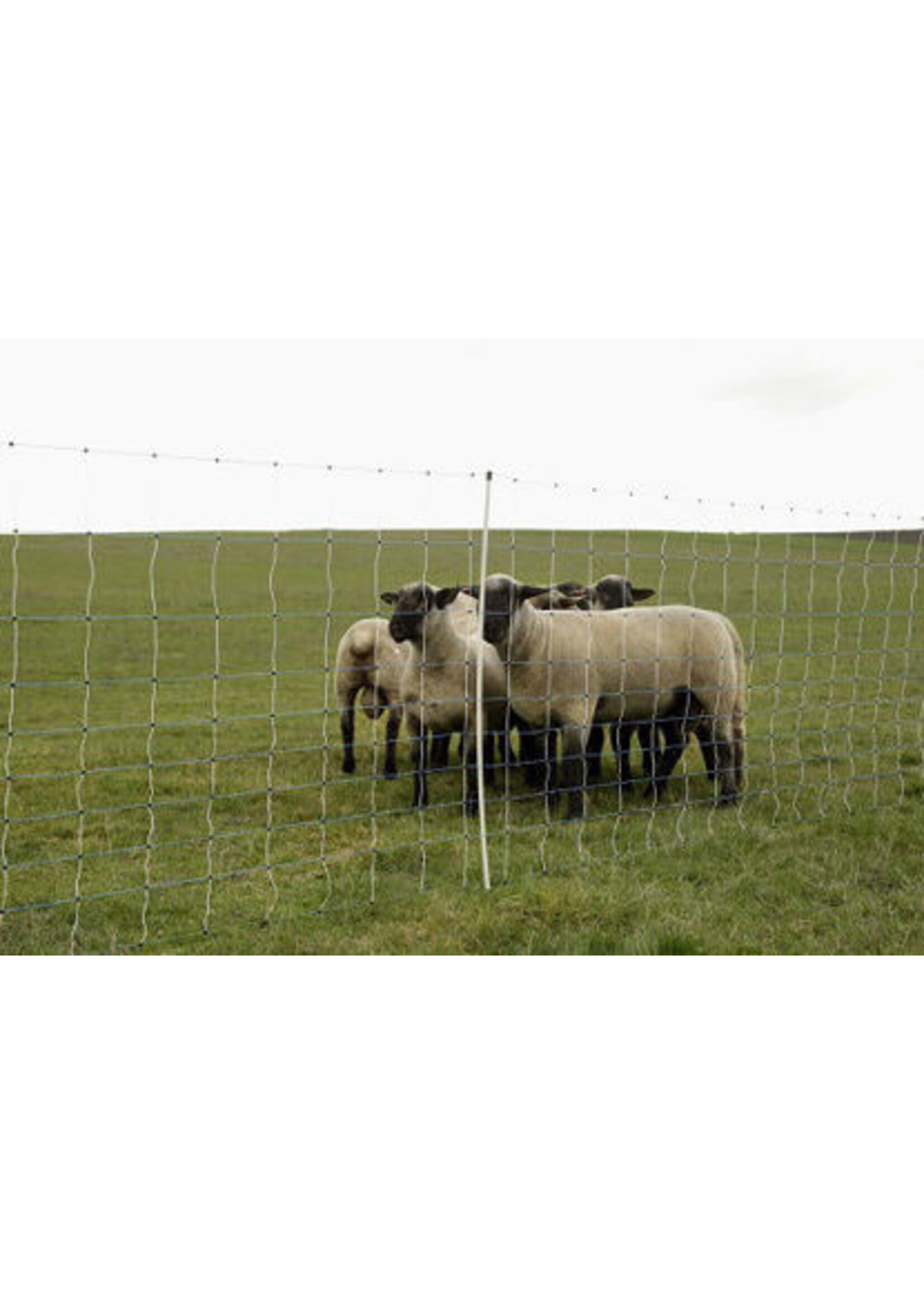 AKO Afrastering AKO Schapennet OviNet MAXI 122cm x 50m ENKELE PEN