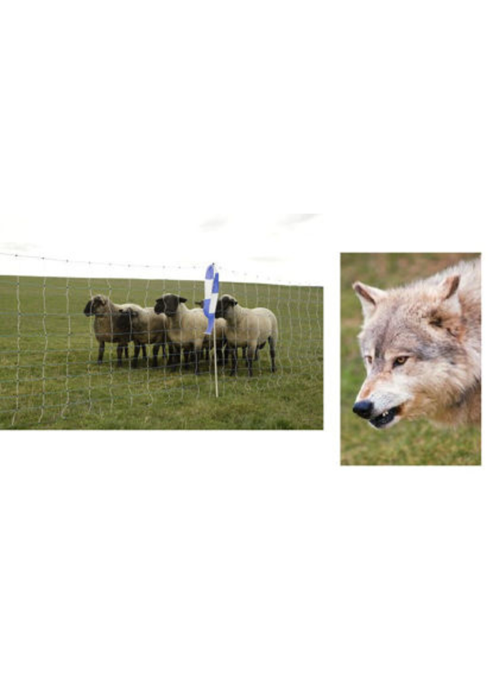 AKO Afrastering AKO Wolfnet OviNet MAXI 122cm x 50m dubbele pen