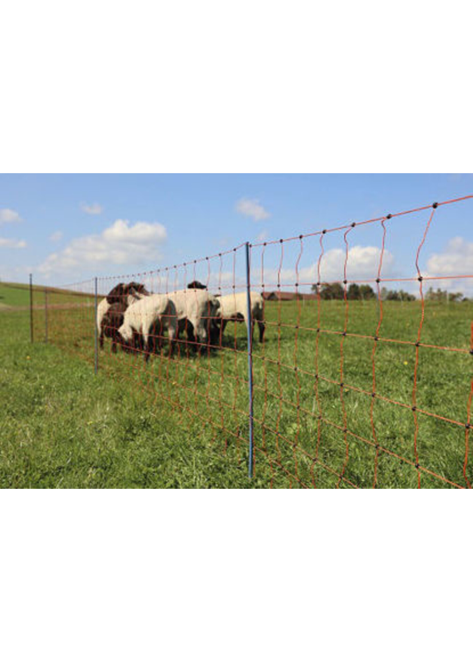 AKO Afrastering AKO Schapennet OviNet Premium Oranje 108cm x 50m ENKELE PEN