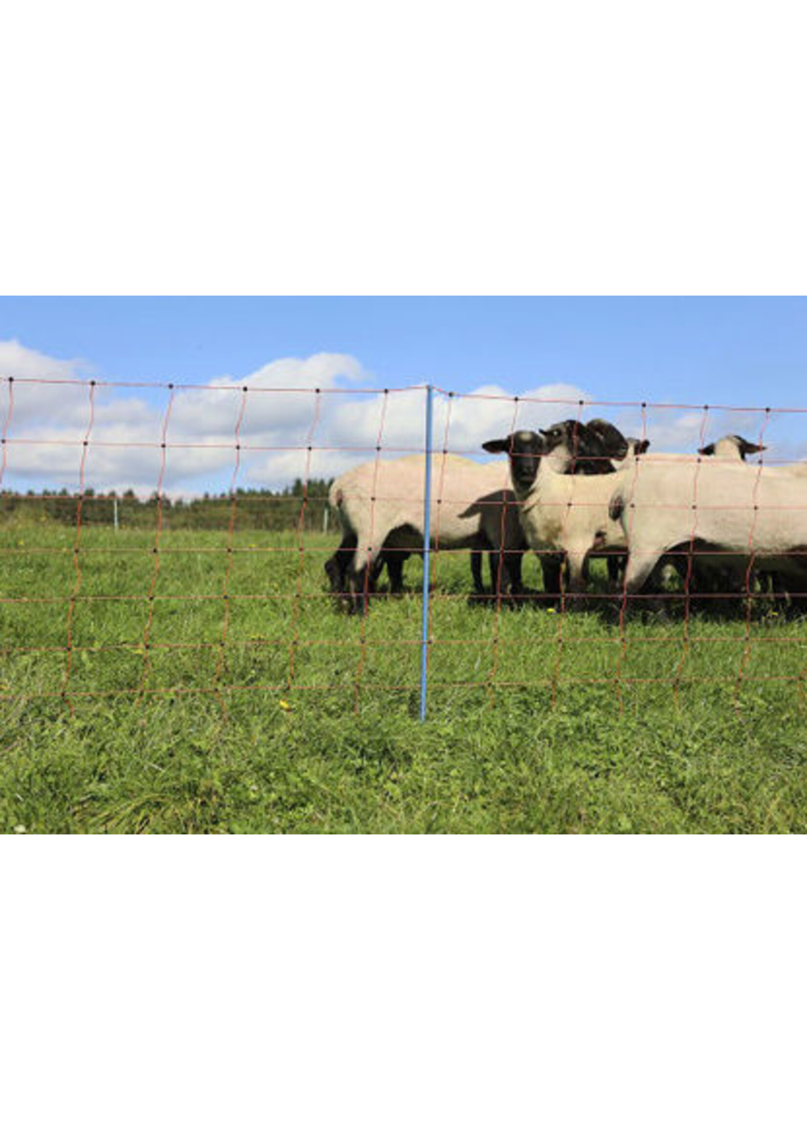 AKO Afrastering AKO Schapennet OviNet Premium Oranje 108cm x 50m DUBBELE PEN