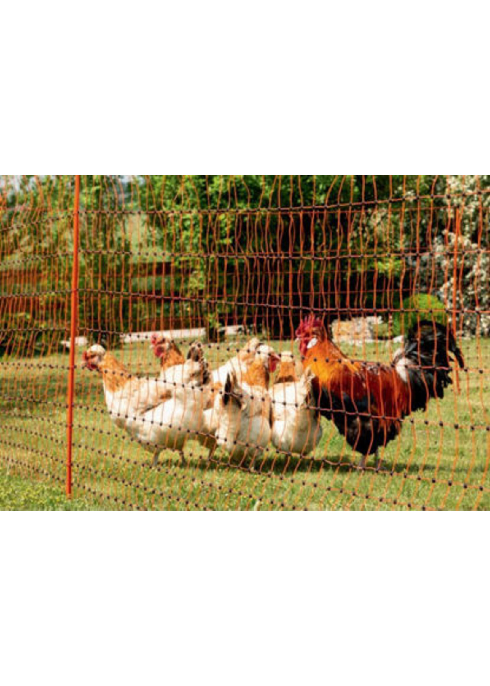 AKO Afrastering AKO Kippennet 106cm-50m. enkele pen -ORANJE-