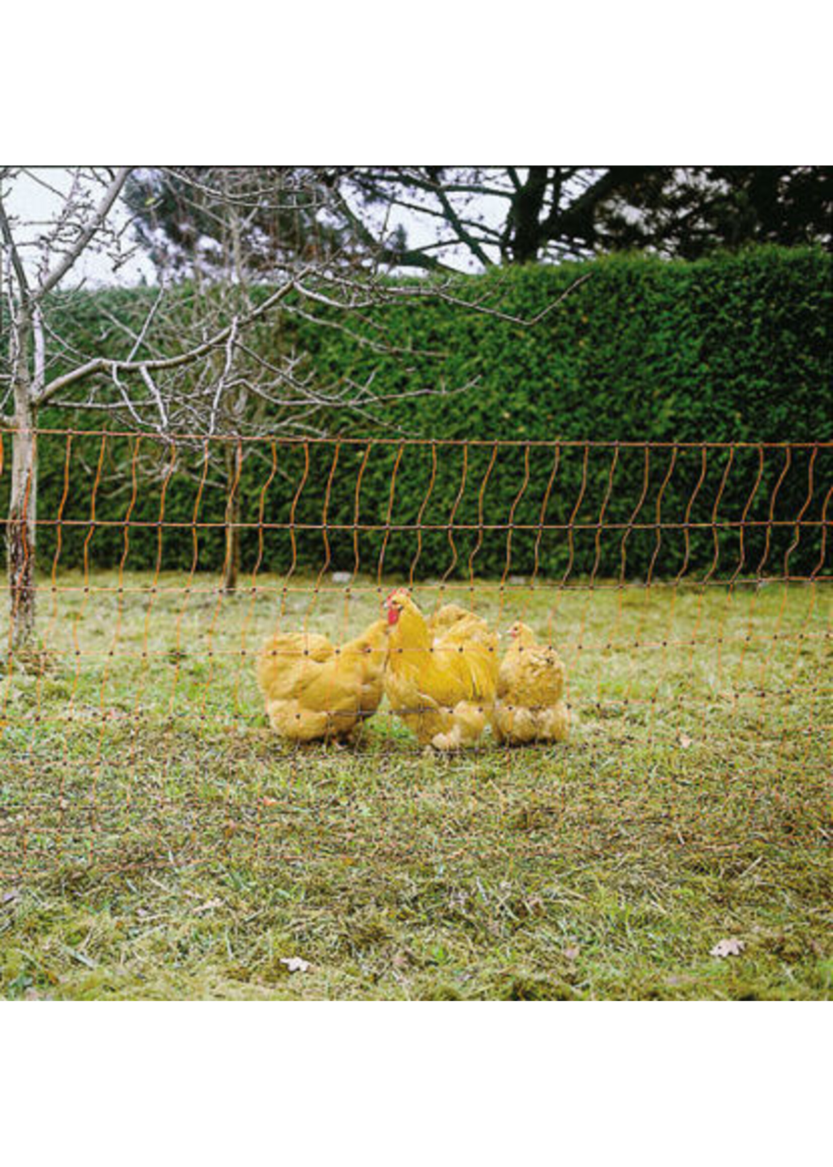 AKO Afrastering AKO Kippennet 106cm-50m. dubbele pen -ORANJE-