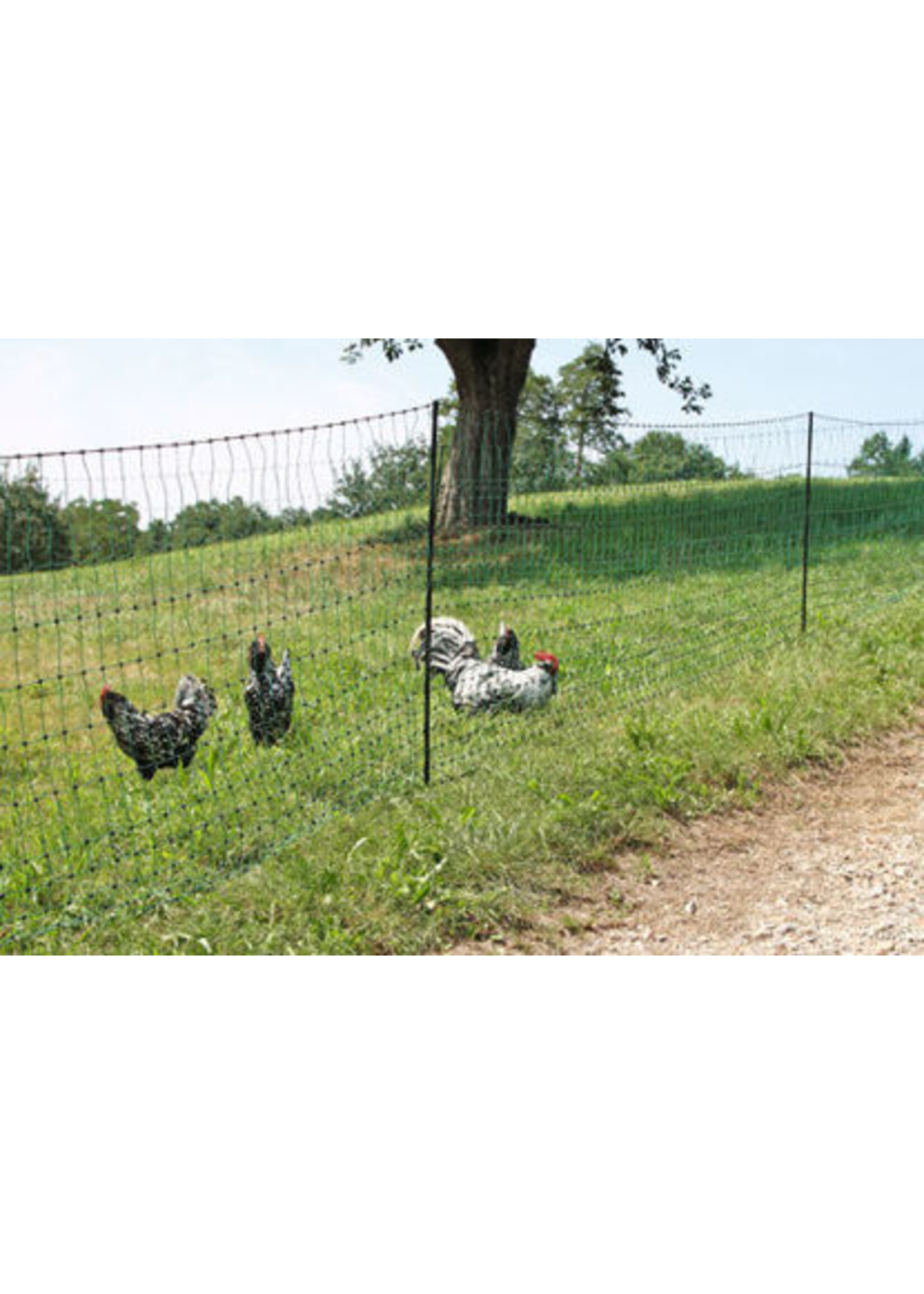 AKO Afrastering AKO Kippennet 106cm-50m. dubbele pen -GROEN-