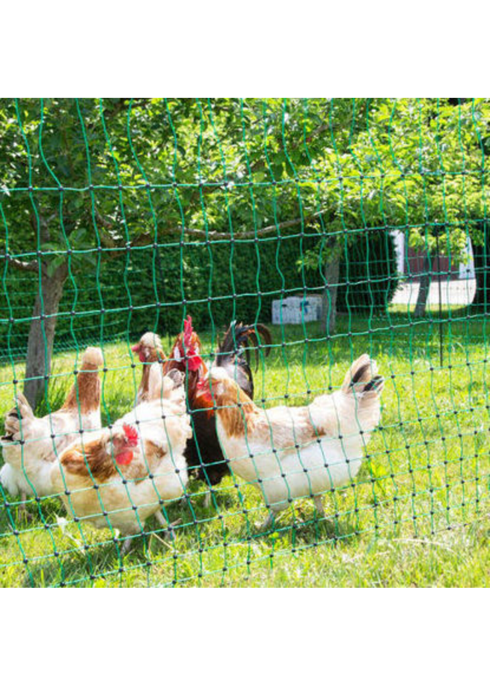 AKO Afrastering AKO Kippennet 106cm-15m. dubbel pen groen