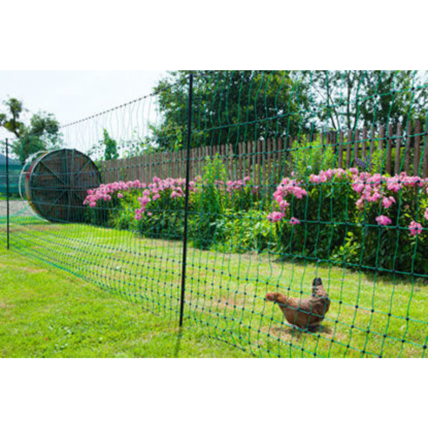AKO Afrastering AKO Kippennet 106cm-25m (zonder stroom) - Dubbele Pen, Groen