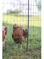 AKO Afrastering AKO PoultryNet Premium wel elektrificeerbaar 25m