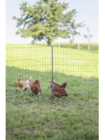 AKO Afrastering AKO PoultryNet Premium niet elektrificeerbaar 25m