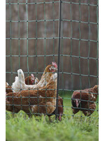 AKO Afrastering AKO PoultryNet Premium wel elektrificeerbaar 50m