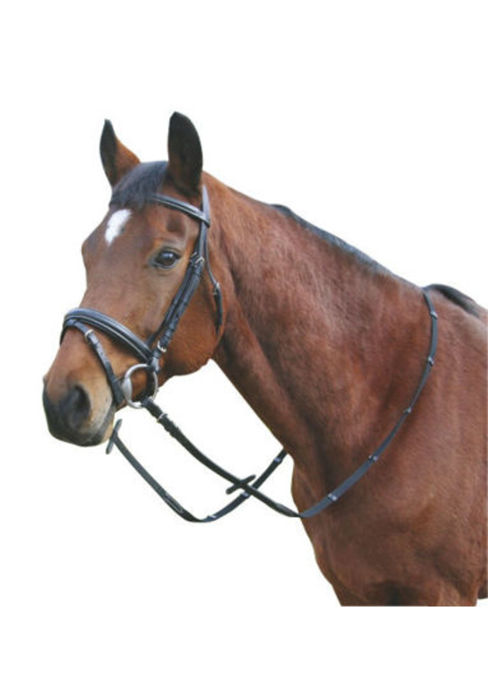 Hoofdstel Exklusiv zwart, Pony