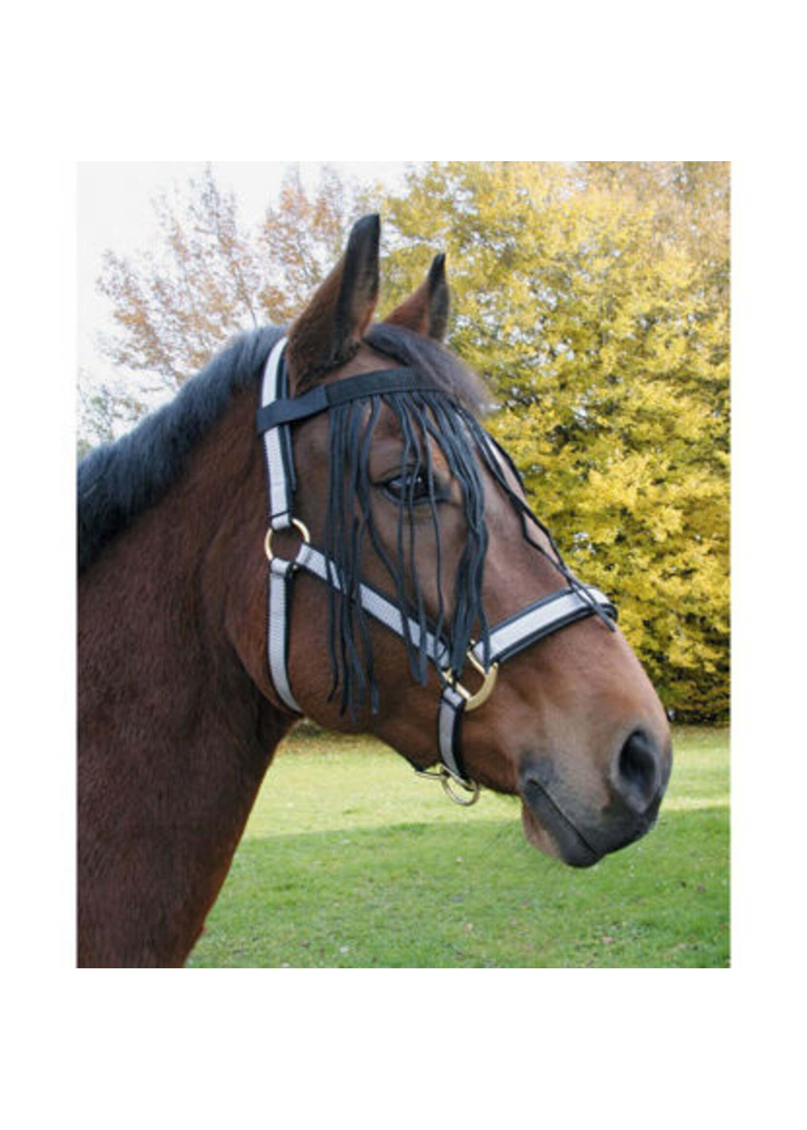 Covalliero Vliegenfrontriem Nylon, Marine/ Zwart Pony/ Cob/ Full.