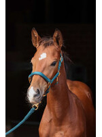 Veulenhalster TopLine, groen