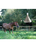 Dazenval  TaonX -ECO-