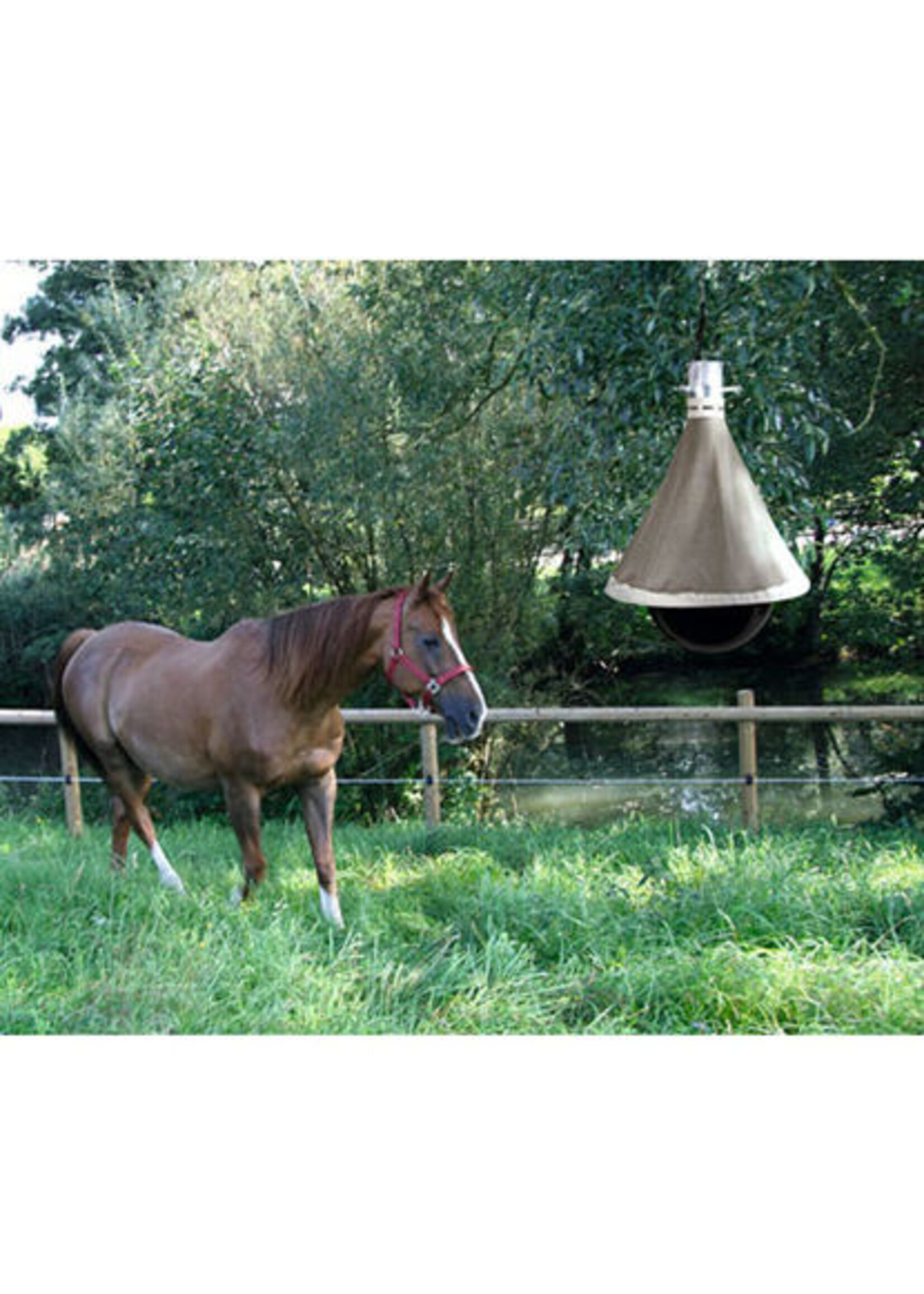 Dazenval  TaonX -ECO-