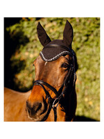 Vliegennetje met oren zwart Vliegennetje met oren zwart