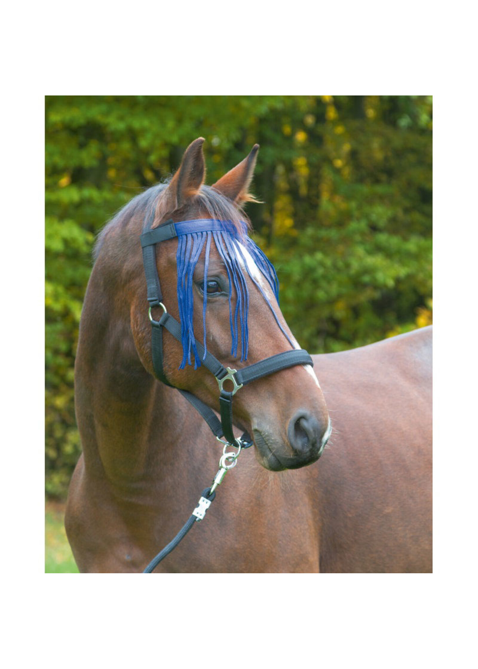 Covalliero Vliegenfrontriem Nylon, Marine/ Zwart Pony/ Cob/ Full.