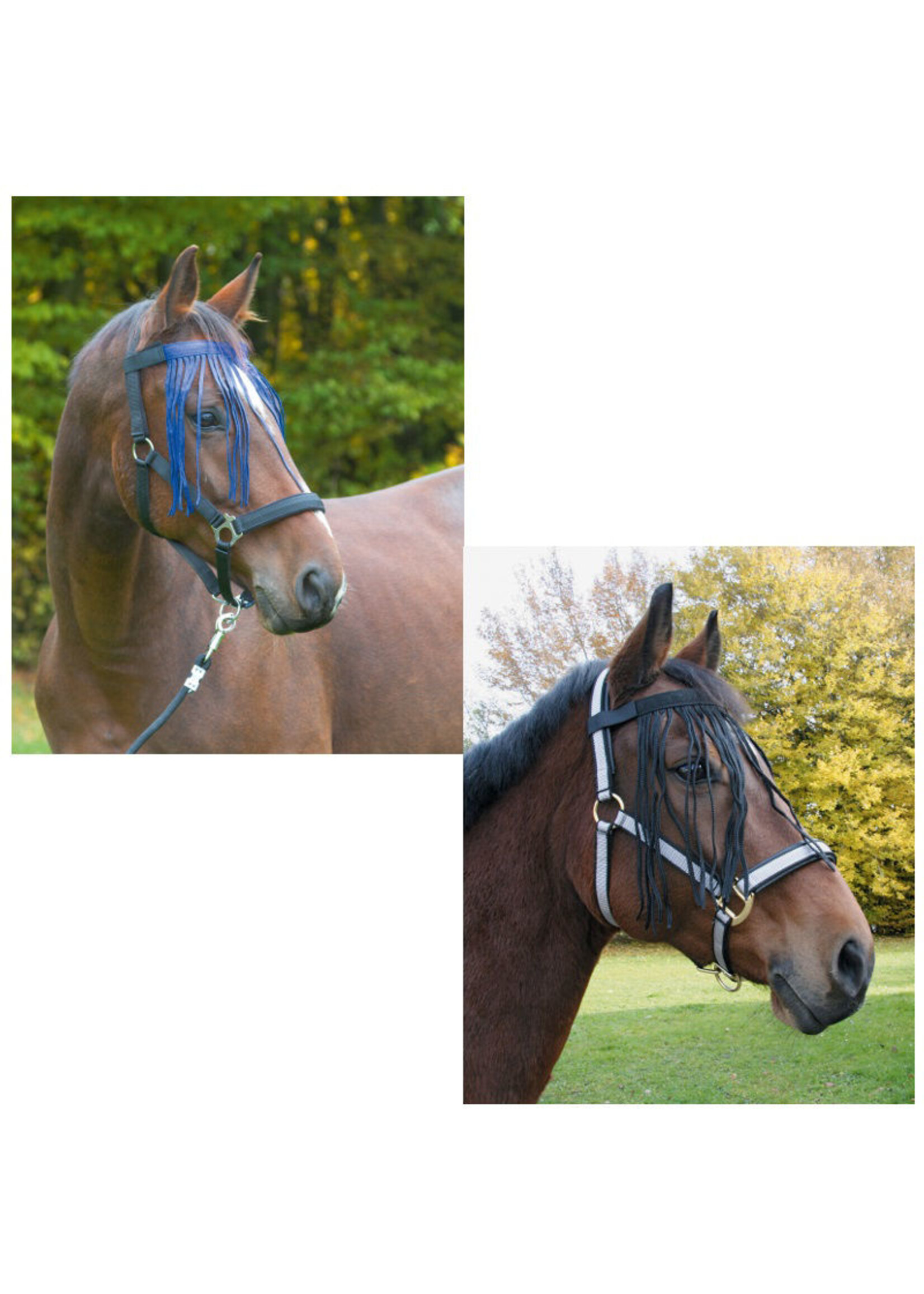 Covalliero Vliegenfrontriem Nylon, Marine/ Zwart Pony/ Cob/ Full.