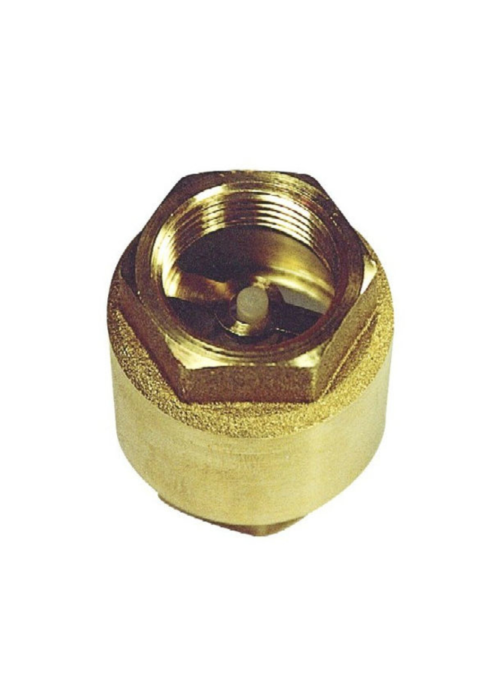 Veerbelaste TUSSENKLEP 3/4"