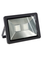 LED-schijnwerper voor buiten 100W