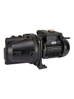 Kimpumps Tuinpomp gietijzer Jet HRD 100