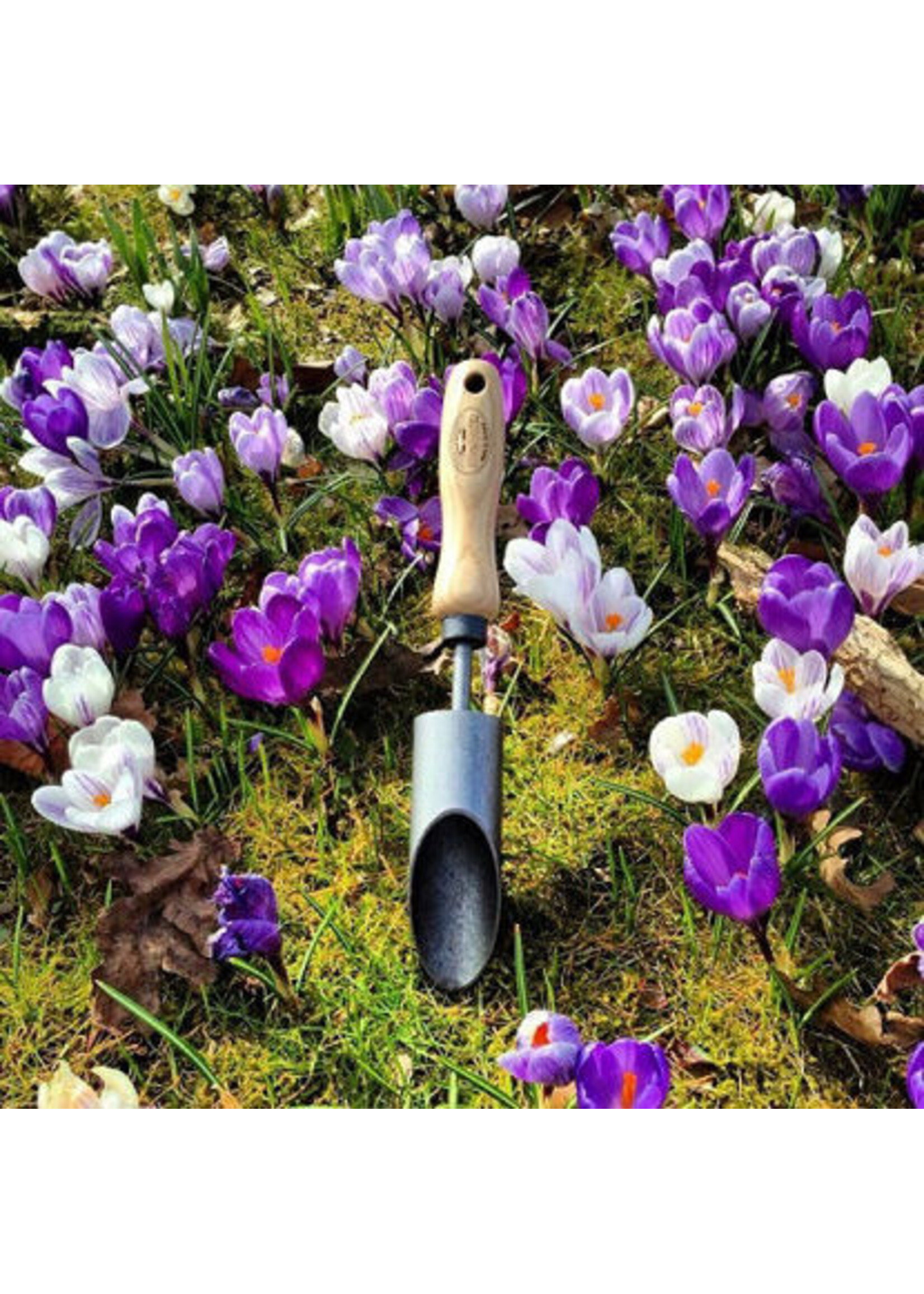 De wit Tuingereedschap Bollenpoter krokus essen handvat 140mm *deWit*