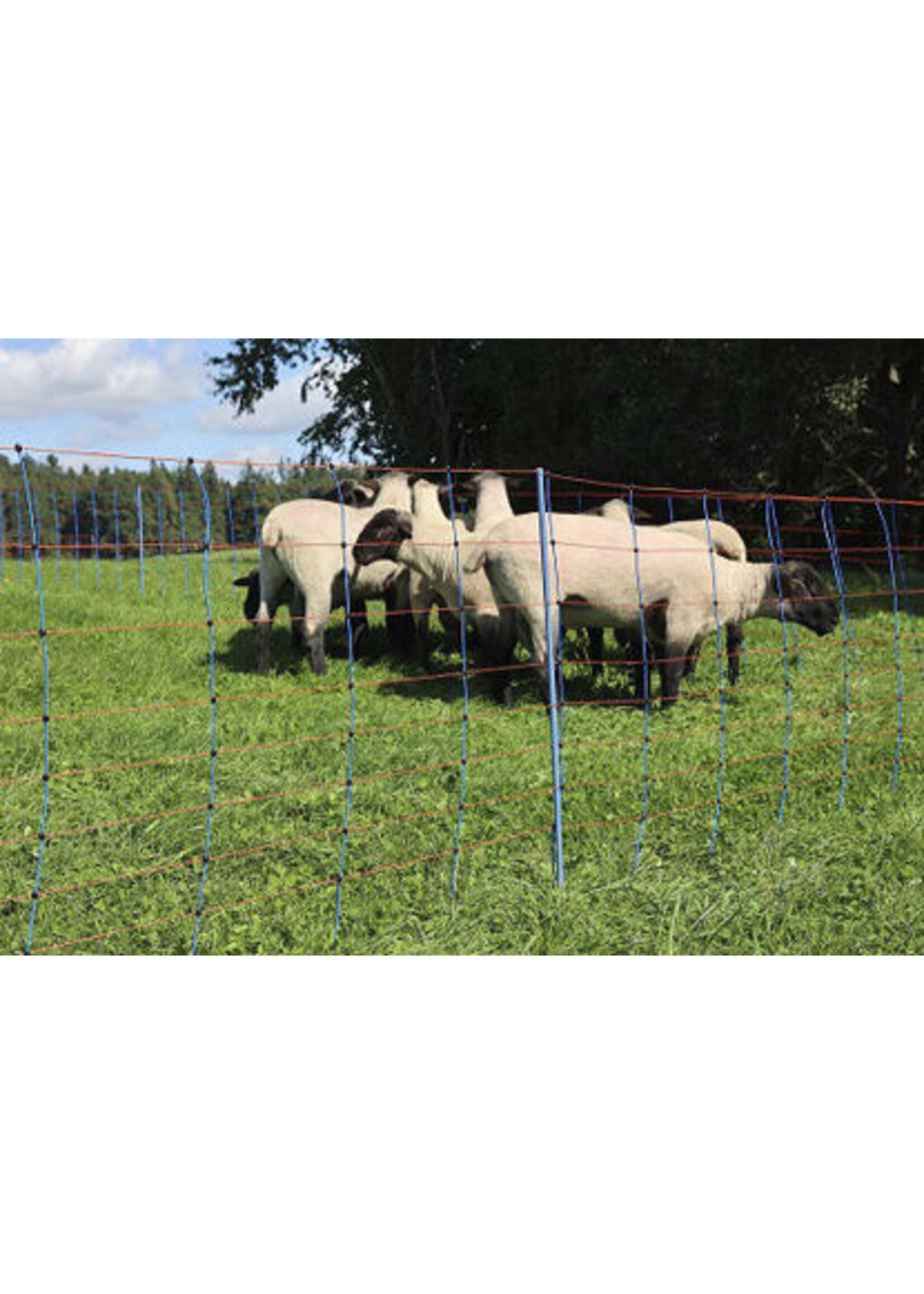 AKO Afrastering AKO SchapennetTitan Premium 90cmx50m enkele pen blauw/oranje