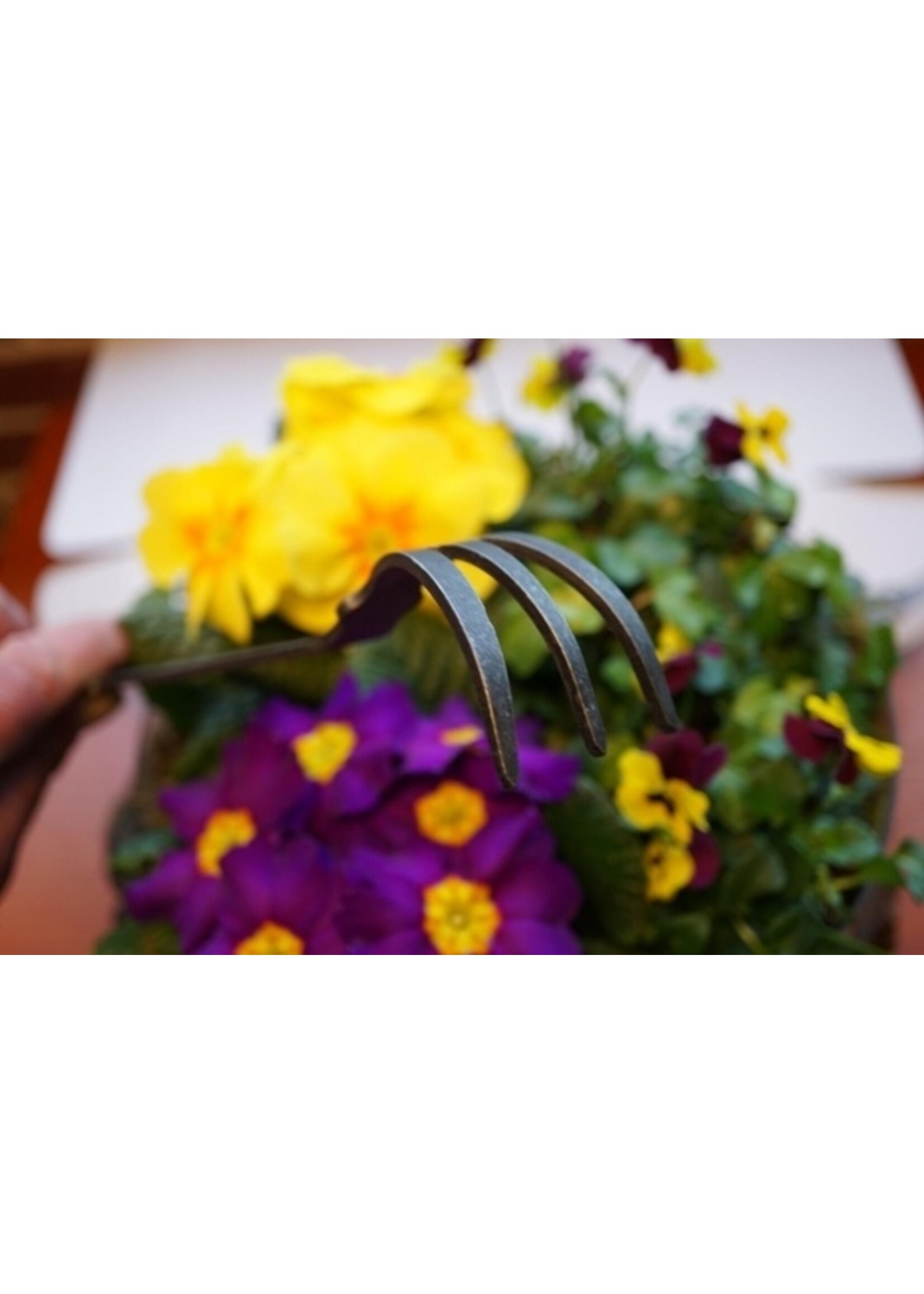 De wit Tuingereedschap Bio cultivator 1 tands essen handvat 140mm *deWit*