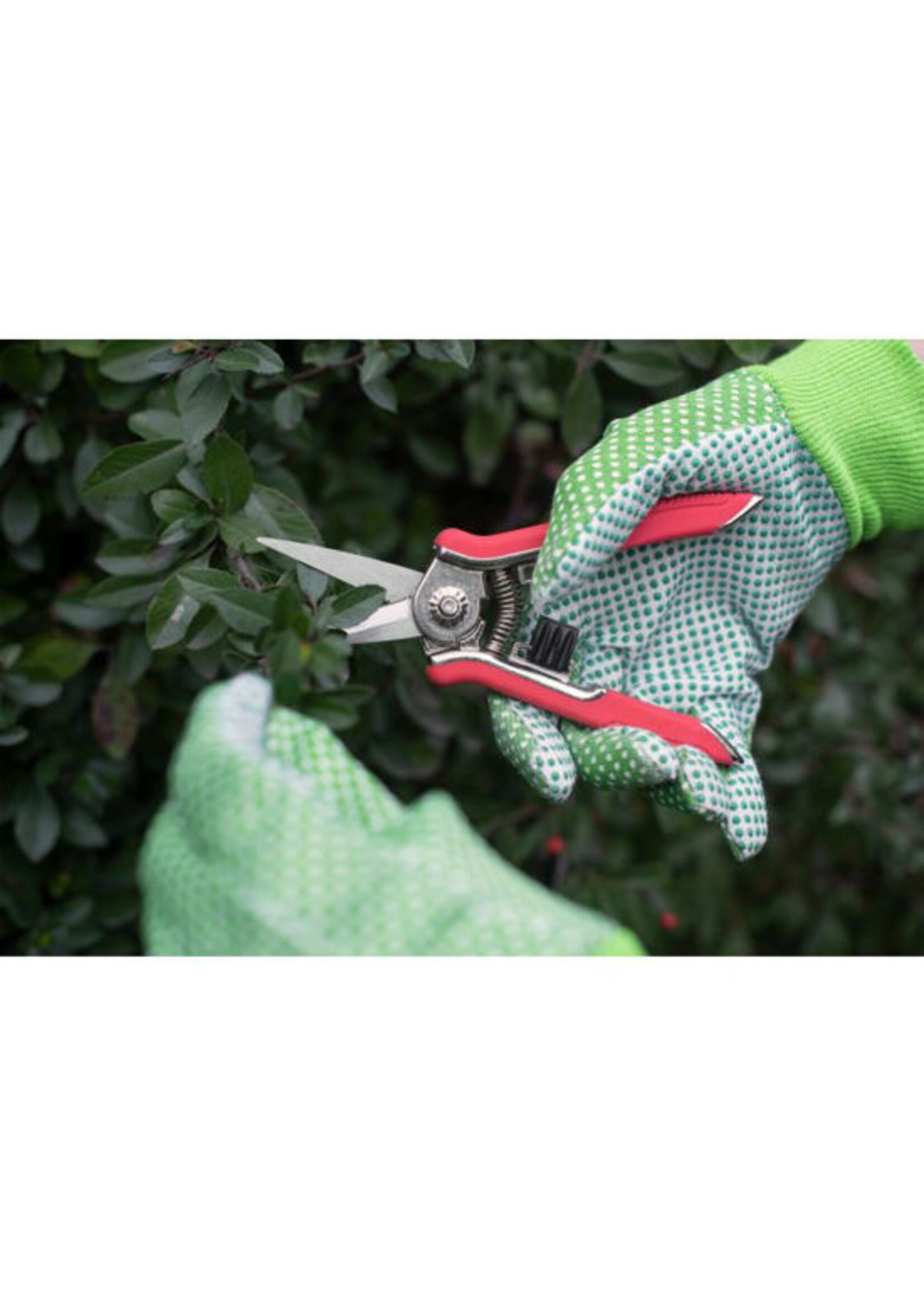 Connex Trimmer-/ oogstschaar mini