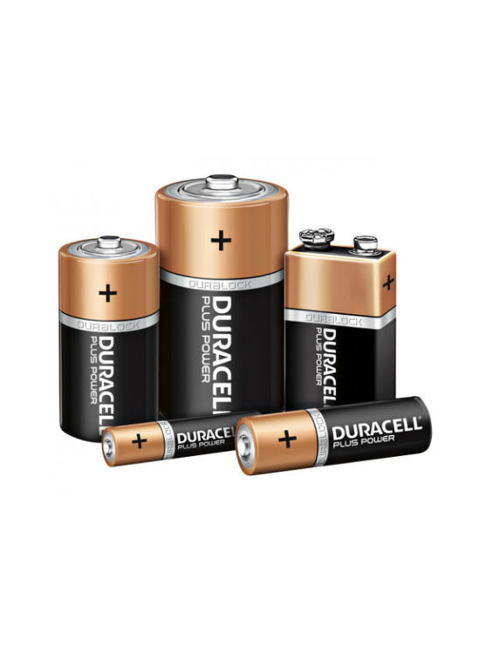 Duracel Batterij DURACELL Plus MN 1400 Duralock (C) x2st.