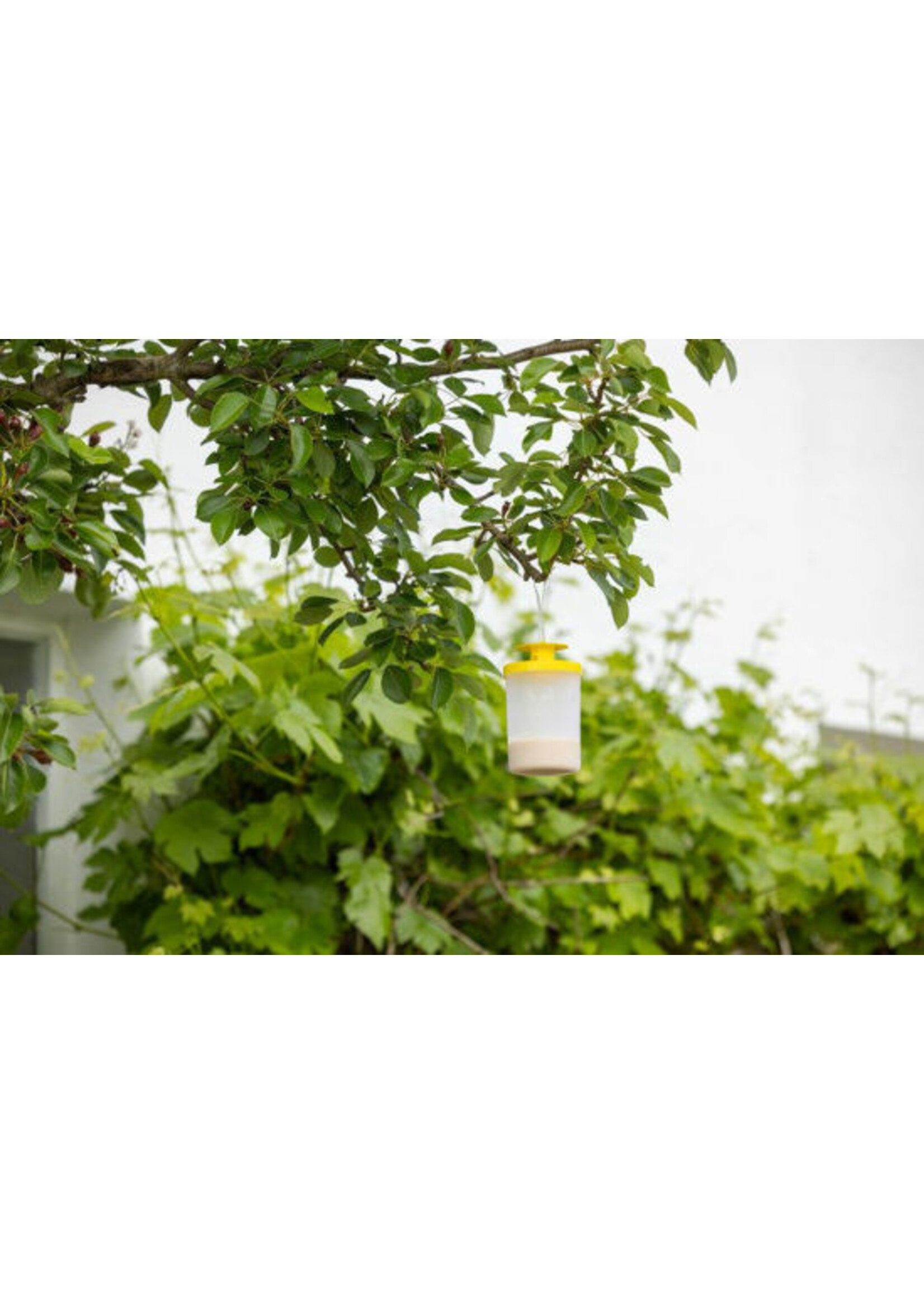 Kerbl Vliegenval FLYCAGE3