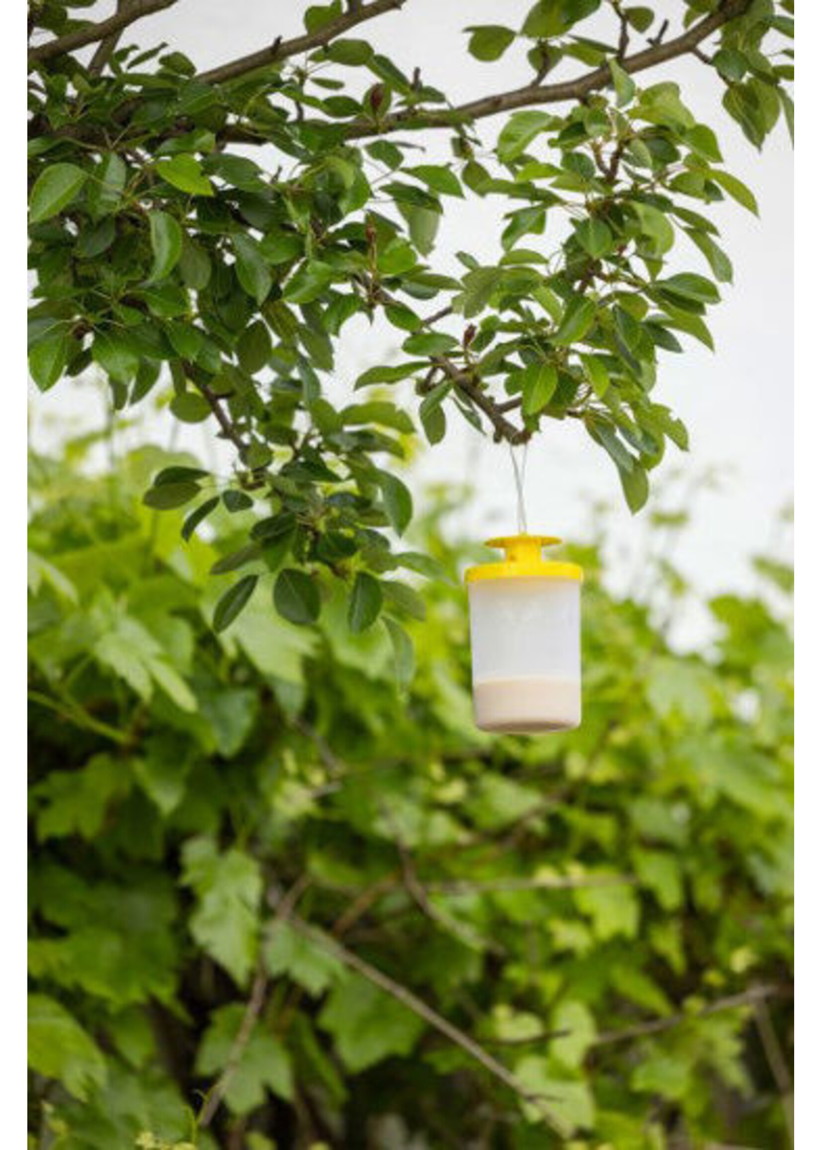 Kerbl Vliegenval FLYCAGE3