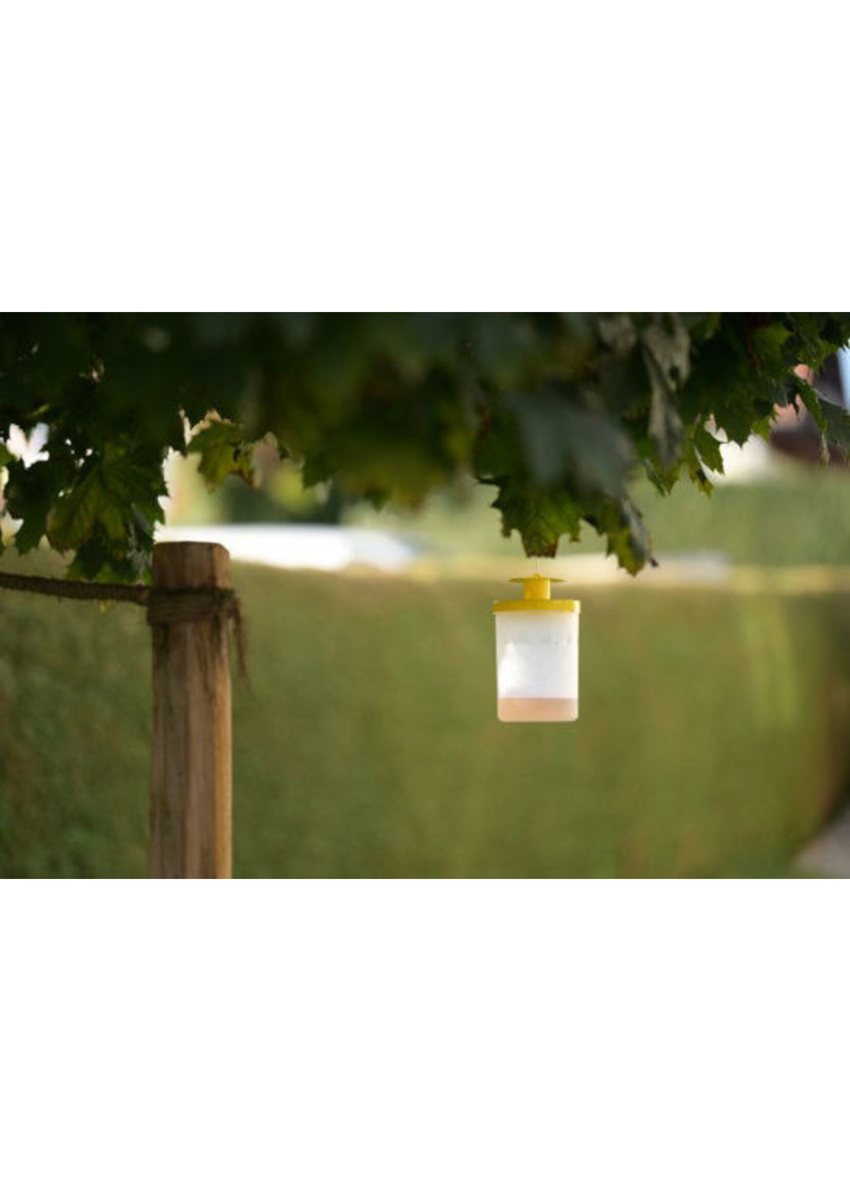 Kerbl Vliegenval FLYCAGE3