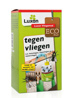 Luxan LUXAN VLIEGENVAL (1 st)