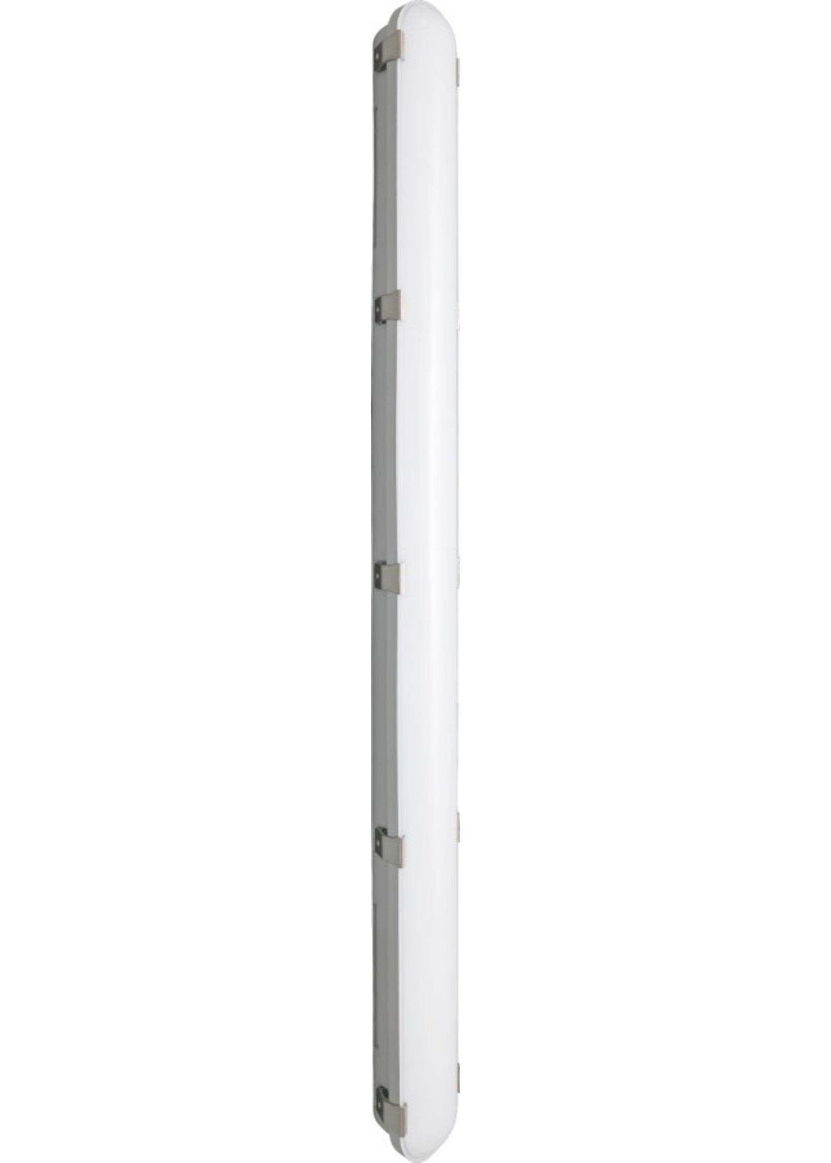Kerbl LED-vochtbestendige lamp FarmLINE Version2025, 25 , 50 Watt.