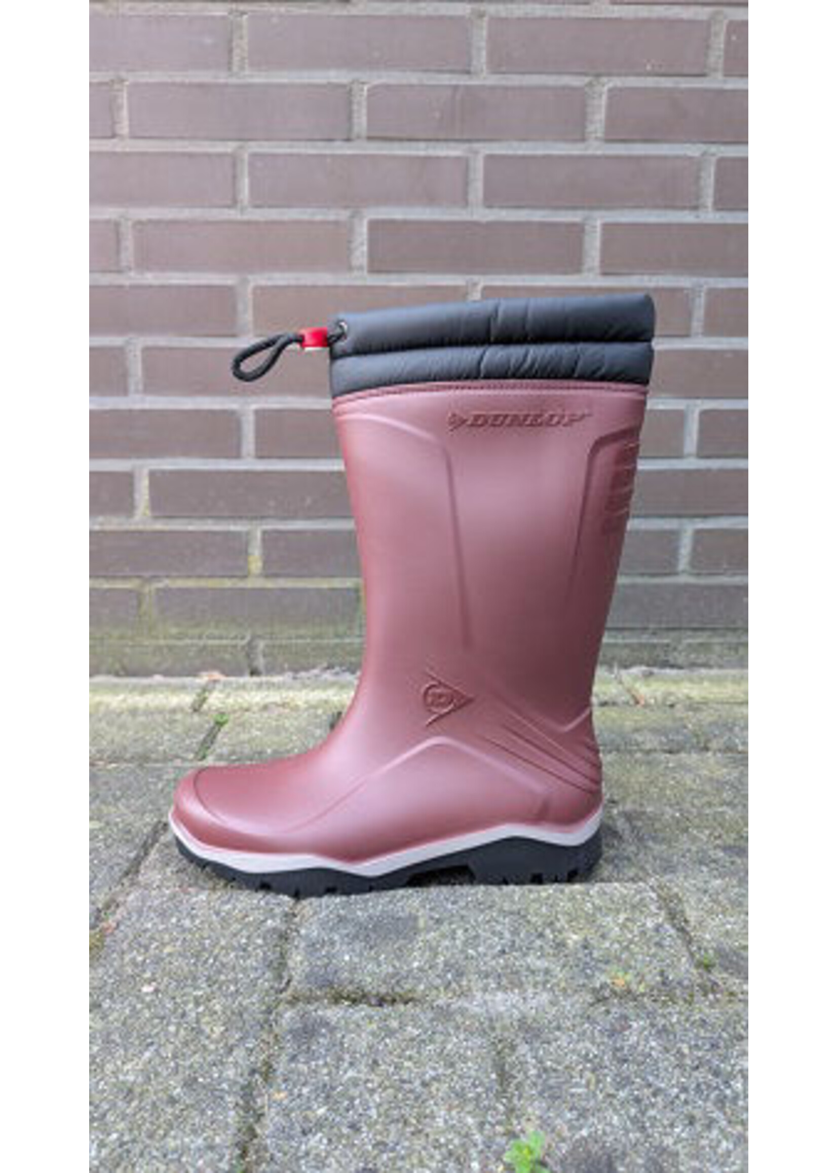Dunlop Dunlop Blizzard Burgundy/grijs/zwart