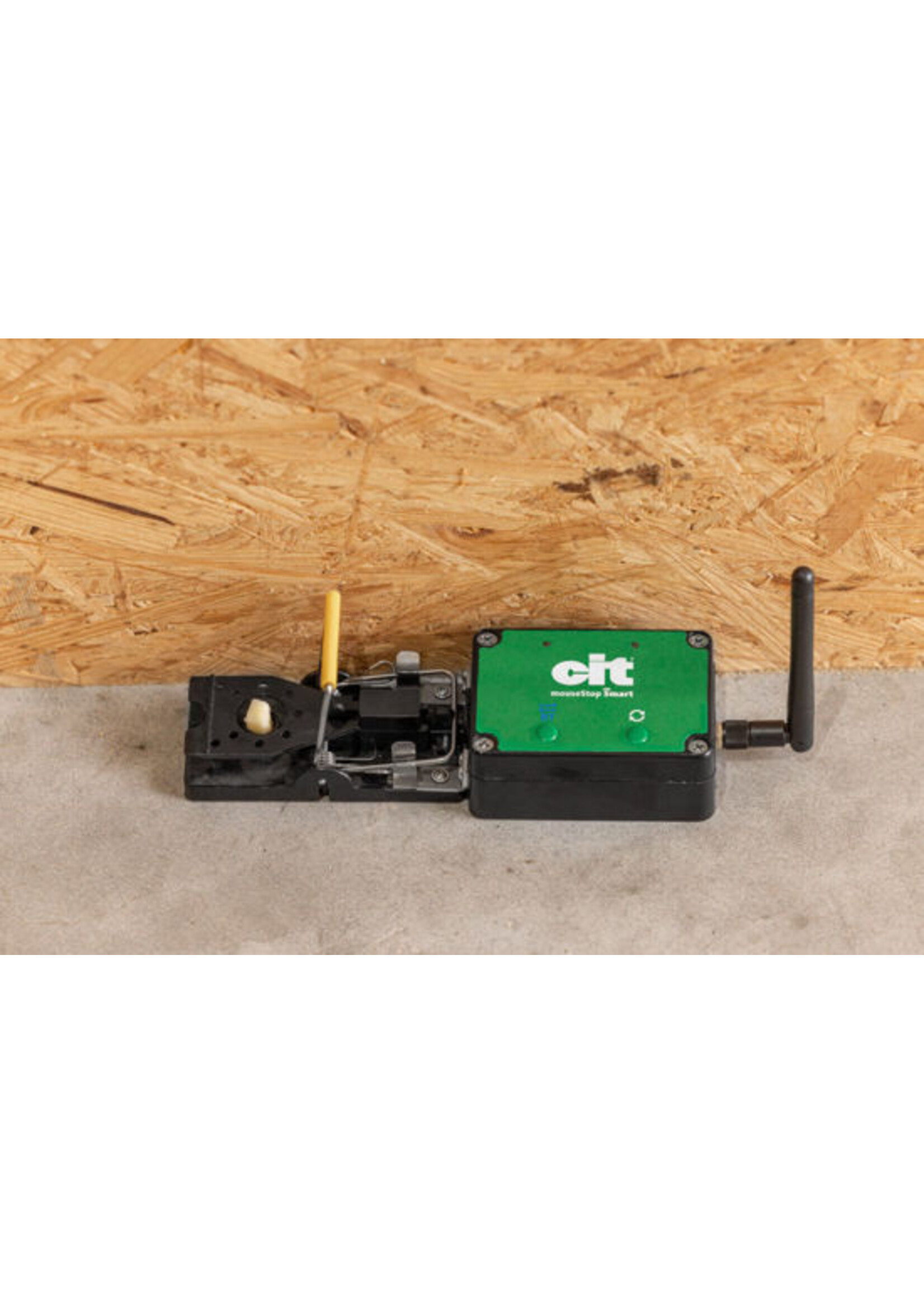 CIT Muizenval -smart- Cit MouseStop