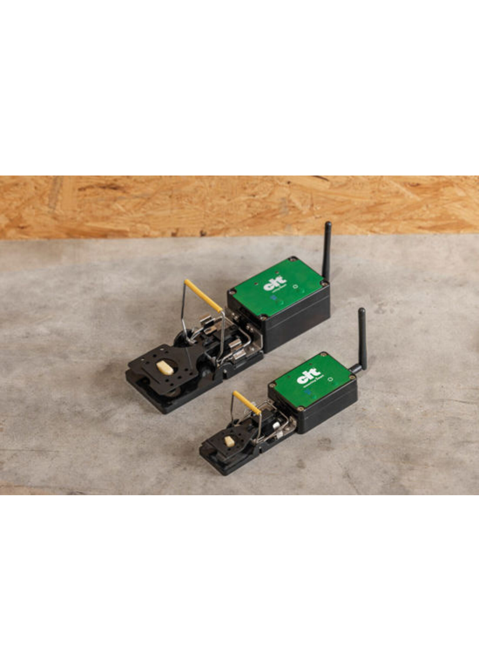 CIT Muizenval -smart- Cit MouseStop