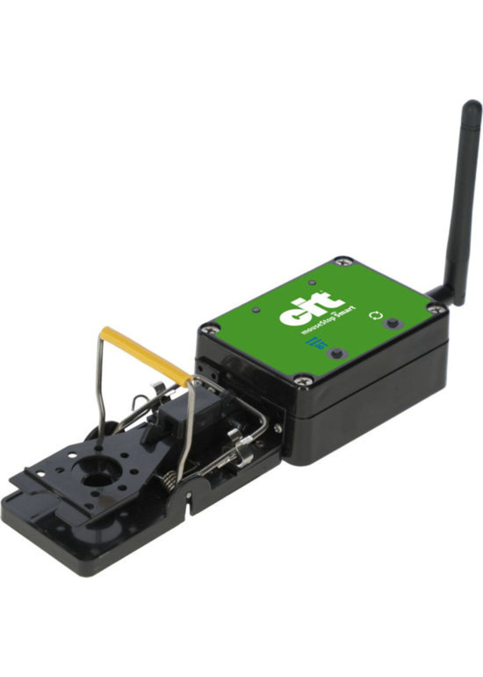 CIT Muizenval -smart- Cit MouseStop